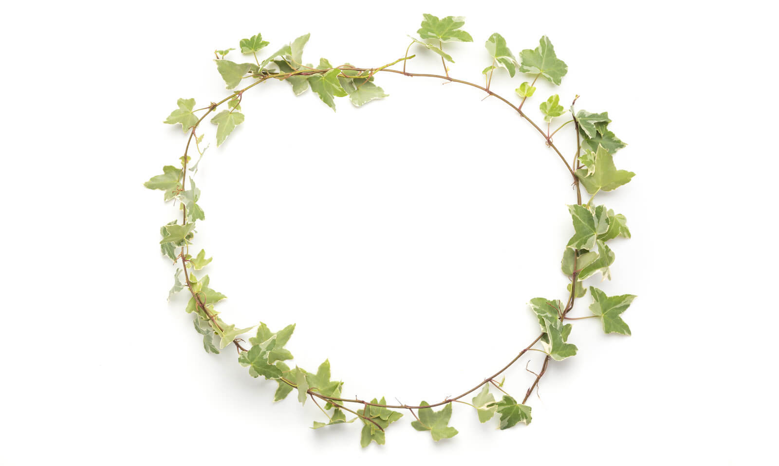 特定商取引法に基づく表記